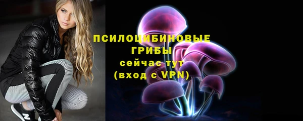 гидра Карталы
