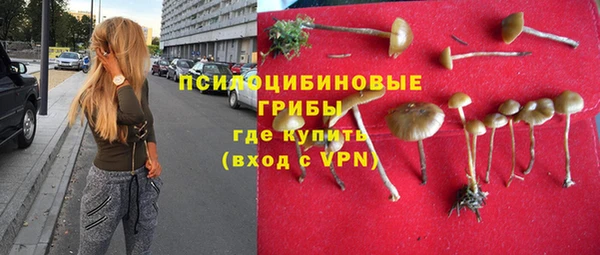 spice Карпинск