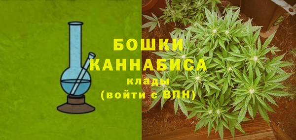 spice Карпинск