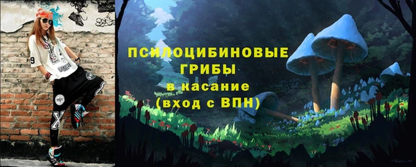 гидра Карталы