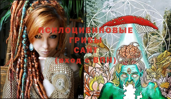 гашиш Касимов