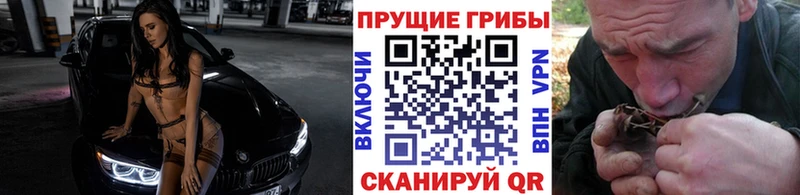 Купить где Медногорск Псилоцибиновые грибы мицелий